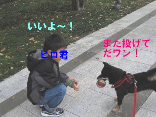 A Little Friend。（ヒロ君がやって来た～！）_c0185516_15294626.jpg