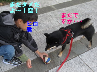 c0185516_15302863.jpg