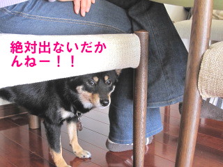 c0185516_15382289.jpg