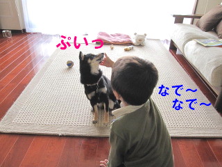c0185516_15443991.jpg
