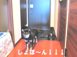 c0185516_1584080.jpg