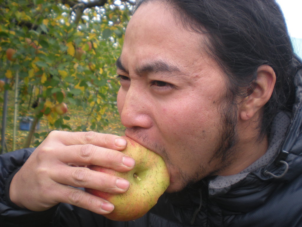 りんごヘブンへ~~また_a0125419_1049516.jpg