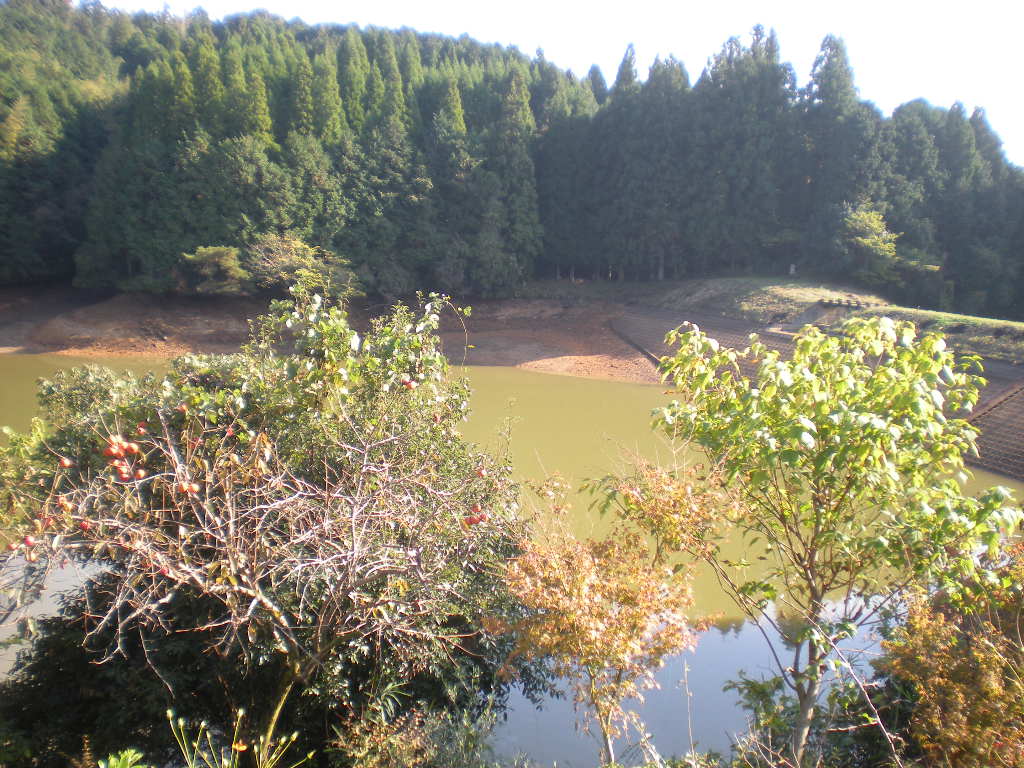 YUKIHIRAへ~~~_a0125419_16442650.jpg