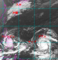 サンドウィッチの合間に_a0043520_8394712.jpg