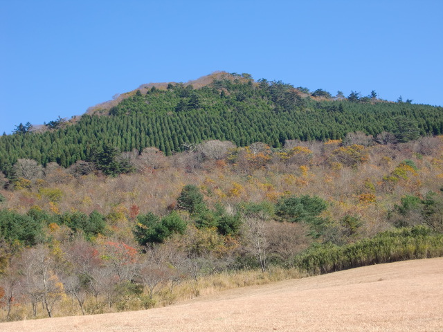 栗野…柏の木のドングリ探し_b0175524_22113595.jpg