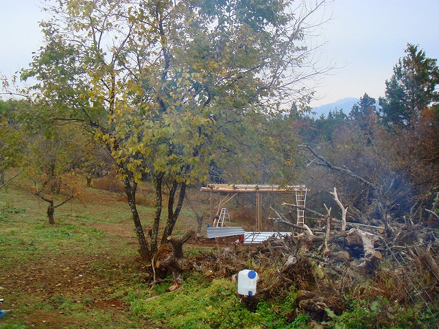 b0147630_20542072.jpg