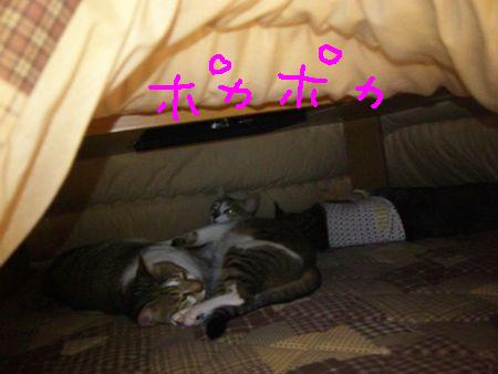 盗られっぱなし_a0099131_1782390.jpg