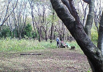 f0161834_20401394.jpg