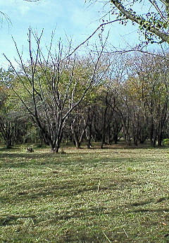 f0161834_20502815.jpg