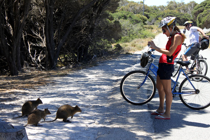 Rottnest Island_c0035836_1841112.jpg