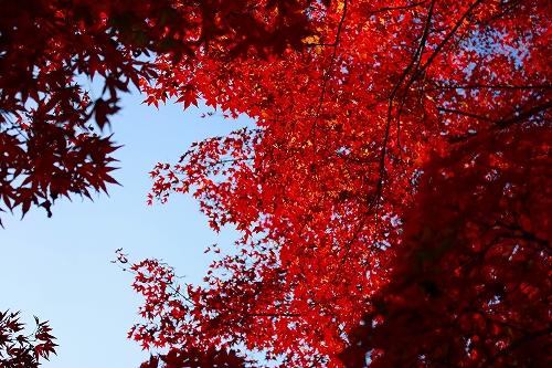 c0179736_17421684.jpg