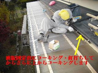 30年前のサンルーム屋根の修理_f0031037_20111645.jpg