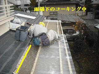 30年前のサンルーム屋根の修理_f0031037_2011234.jpg