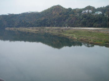 a0054240_17373474.jpg