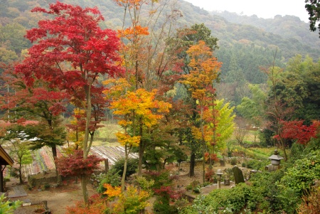 c0185241_081085.jpg