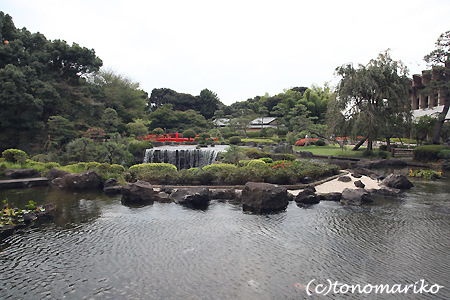 日本の披露宴のフツ〜?!_c0024345_1714599.jpg
