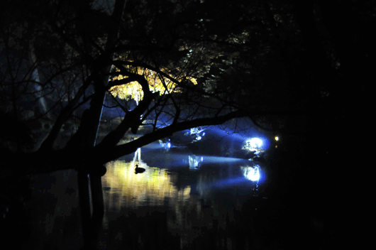 c0093046_714774.gif