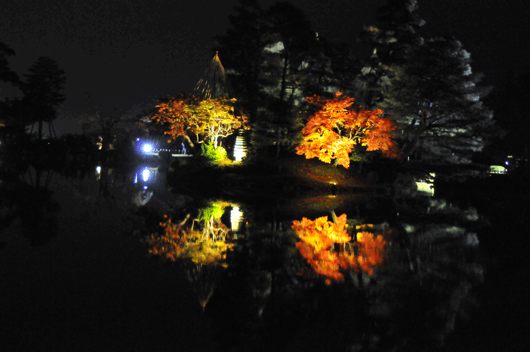 c0093046_7835.gif