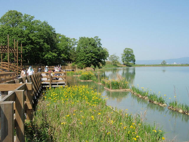 c0207746_9393280.jpg