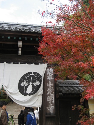c0073649_1581312.jpg