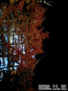 c0214149_23281630.jpg