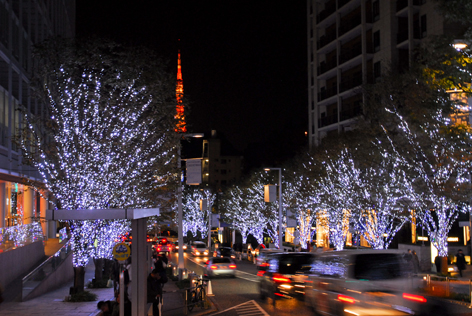 東京クリスマスイルミネーション　2009.11.23_c0089950_2313386.jpg