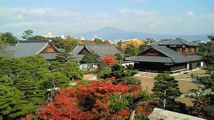 d0020358_1247828.jpg