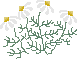 a0141062_18481046.gif
