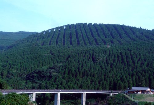 b0114663_19535855.jpg