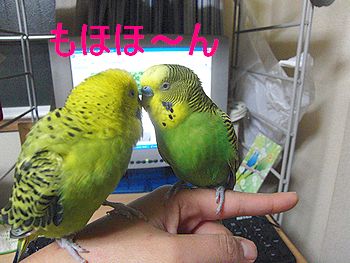 f0196665_04101.jpg