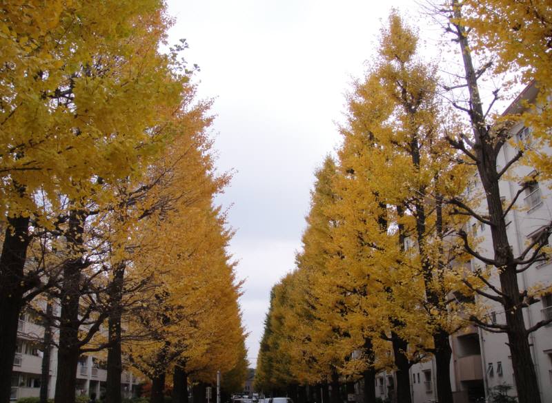 f0059673_21373836.jpg