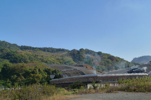 c0177576_14454423.jpg