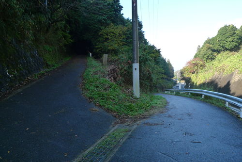 c0177576_1512591.jpg
