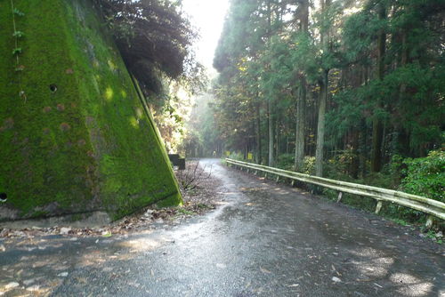 c0177576_156163.jpg