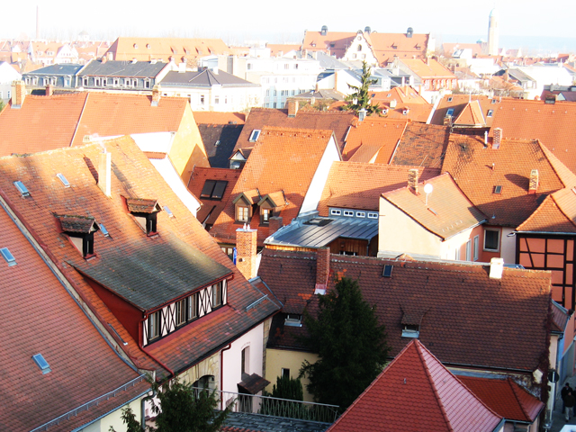 c0188784_19564596.jpg