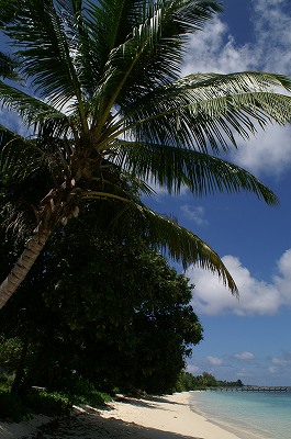 f0204584_1605290.jpg