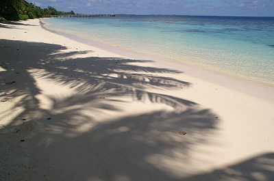 f0204584_1612351.jpg