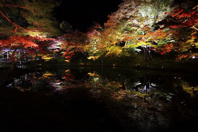 高台寺_e0051888_21295087.jpg