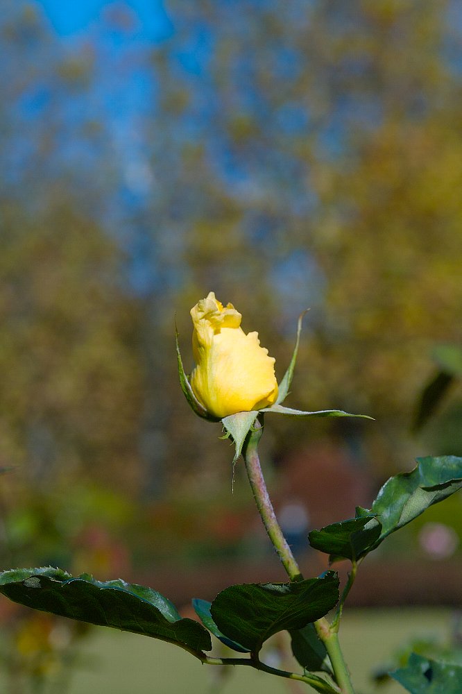 c0124795_22102834.jpg