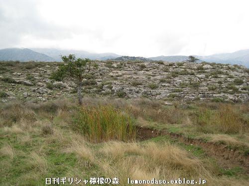 c0010496_421149.jpg