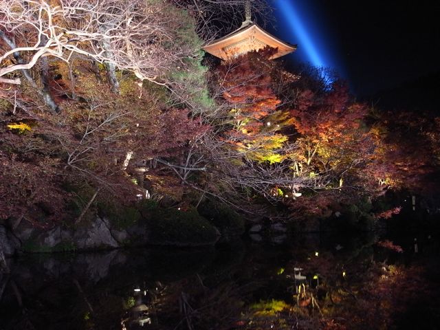 秋の京都にて・・・_e0184696_018307.jpg
