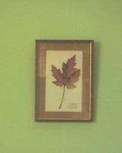 c0164401_11521921.jpg