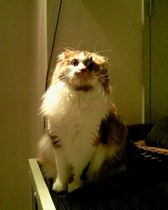c0181601_13473512.jpg