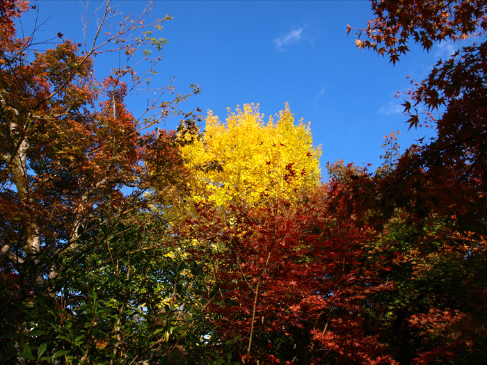 c0177502_22383365.jpg