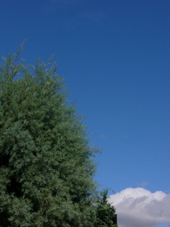 a0123003_17462326.jpg