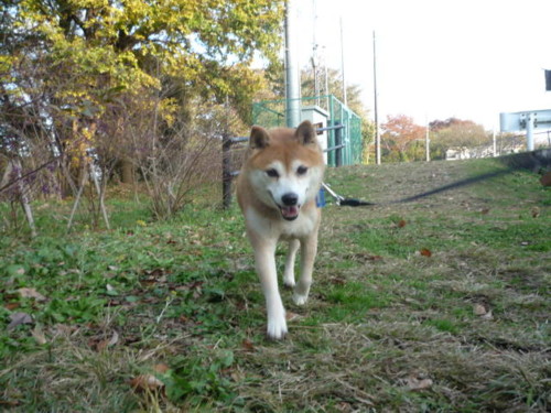 e0131506_23143950.jpg