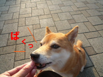 e0131506_23232672.jpg