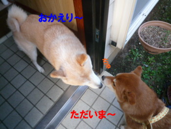 e0131506_2335347.jpg