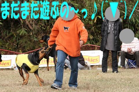e0100007_221420100.jpg