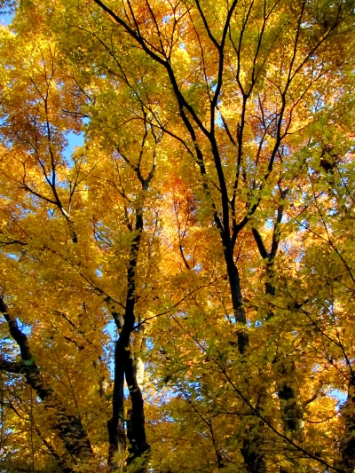 c0156908_1593441.jpg